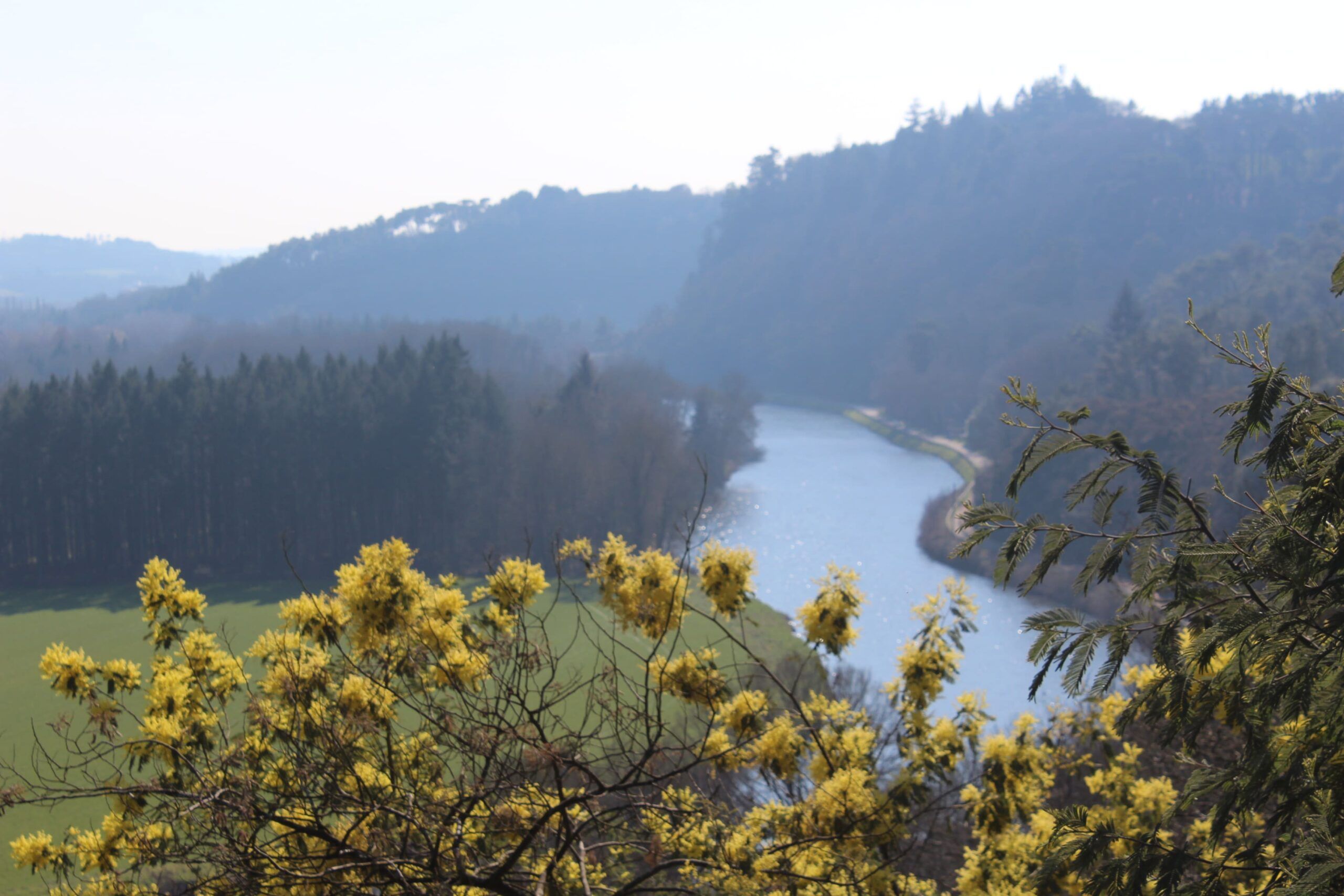 Paysage Vallons de Vilaine